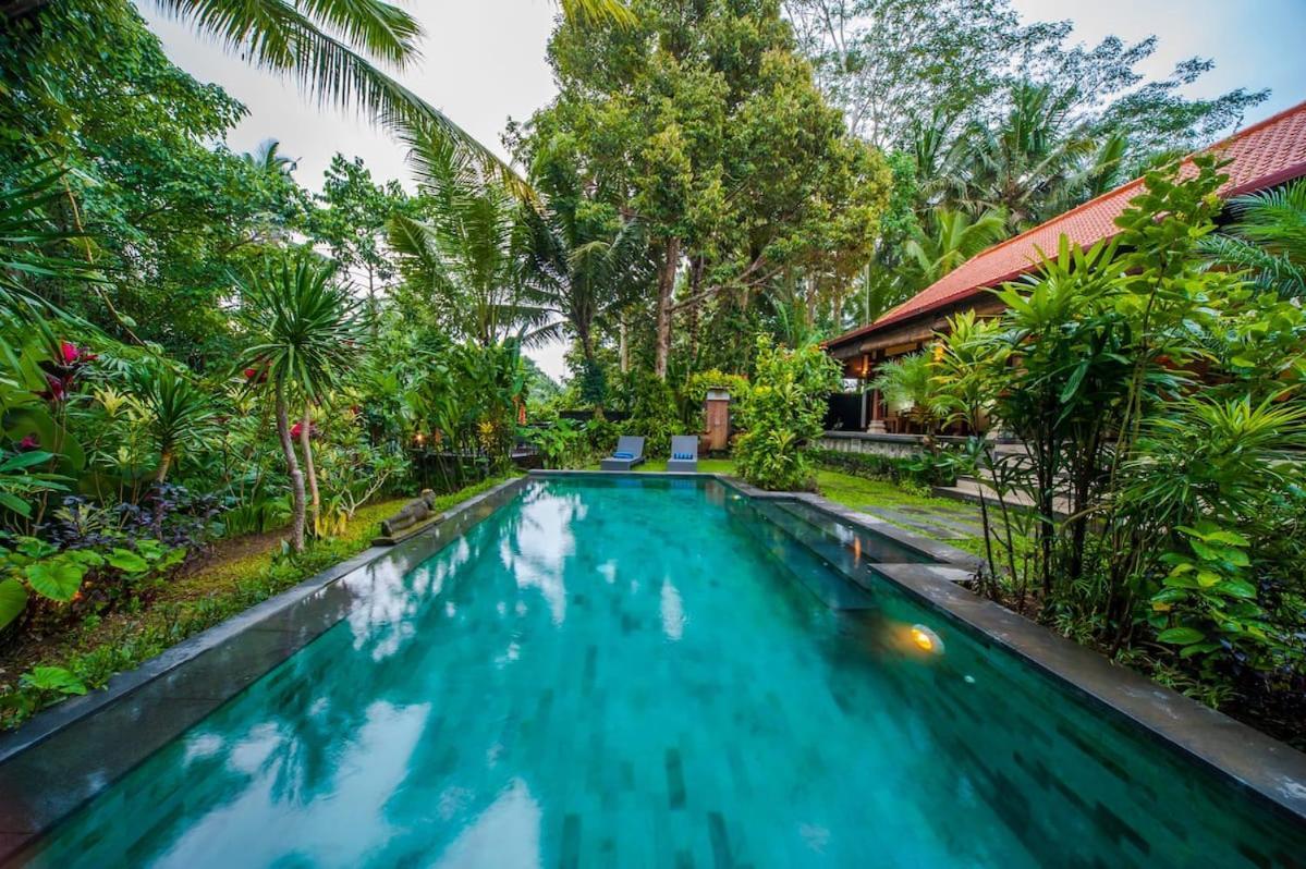 Luxury 3Br Infinity Jungle View Aashaya Villa Ubud Extérieur photo