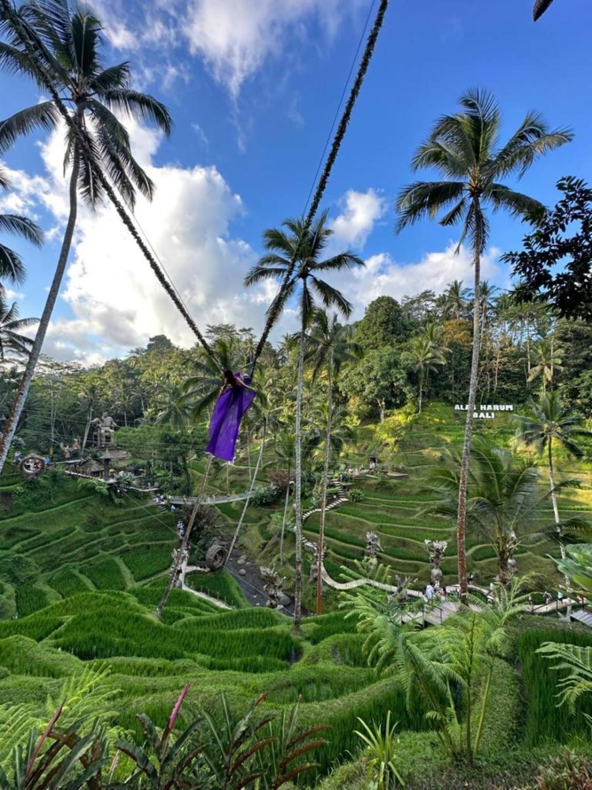 Luxury 3Br Infinity Jungle View Aashaya Villa Ubud Extérieur photo