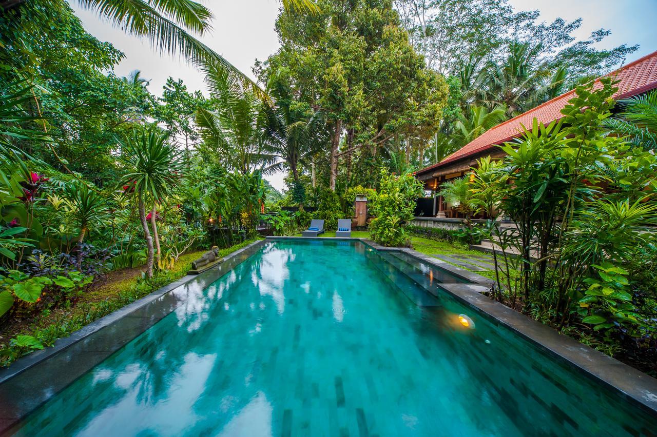 Luxury 3Br Infinity Jungle View Aashaya Villa Ubud Extérieur photo